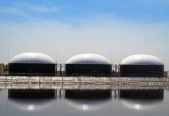The Economic Viability of Biogas Holder Installation