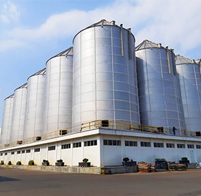 Dry Bulk Storage Tanks