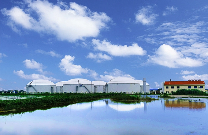 Anaerobic Waste Digester Tanks