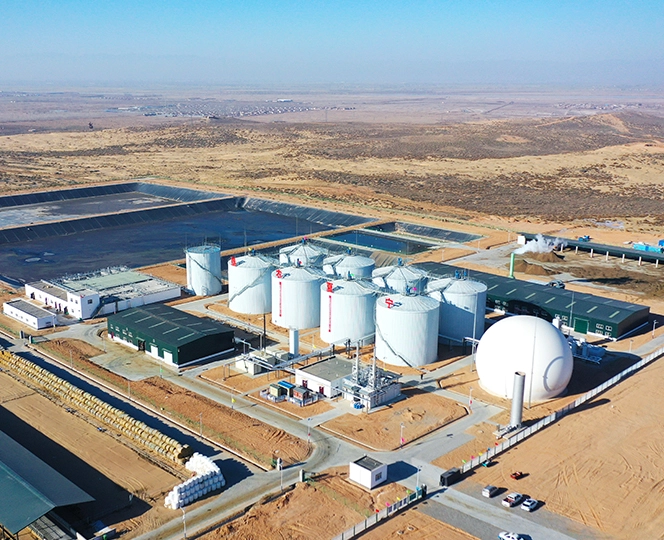 Ground Mounted Biogas Holder