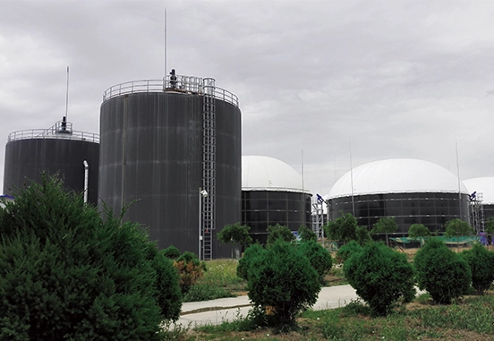 How to Choose a Double Membrane Biogas Holder?