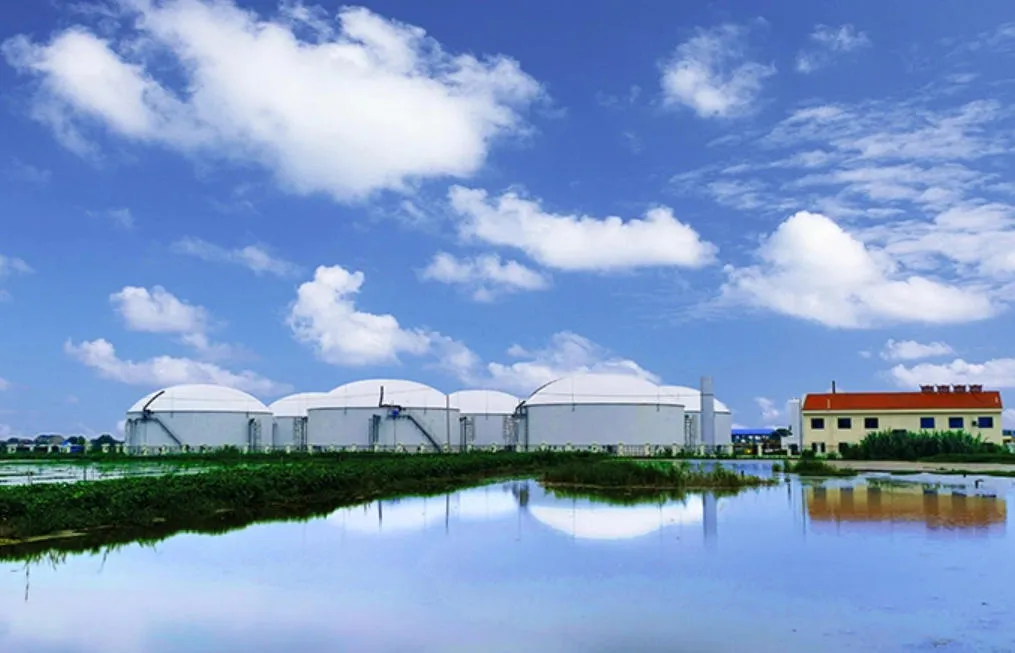 Anaerobic Digester Tanks for Biogas Production: Design Principles and Application Guide